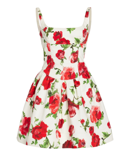 Rose-Print Drop-Waist Dress Pearl Multi Carolina Herrera